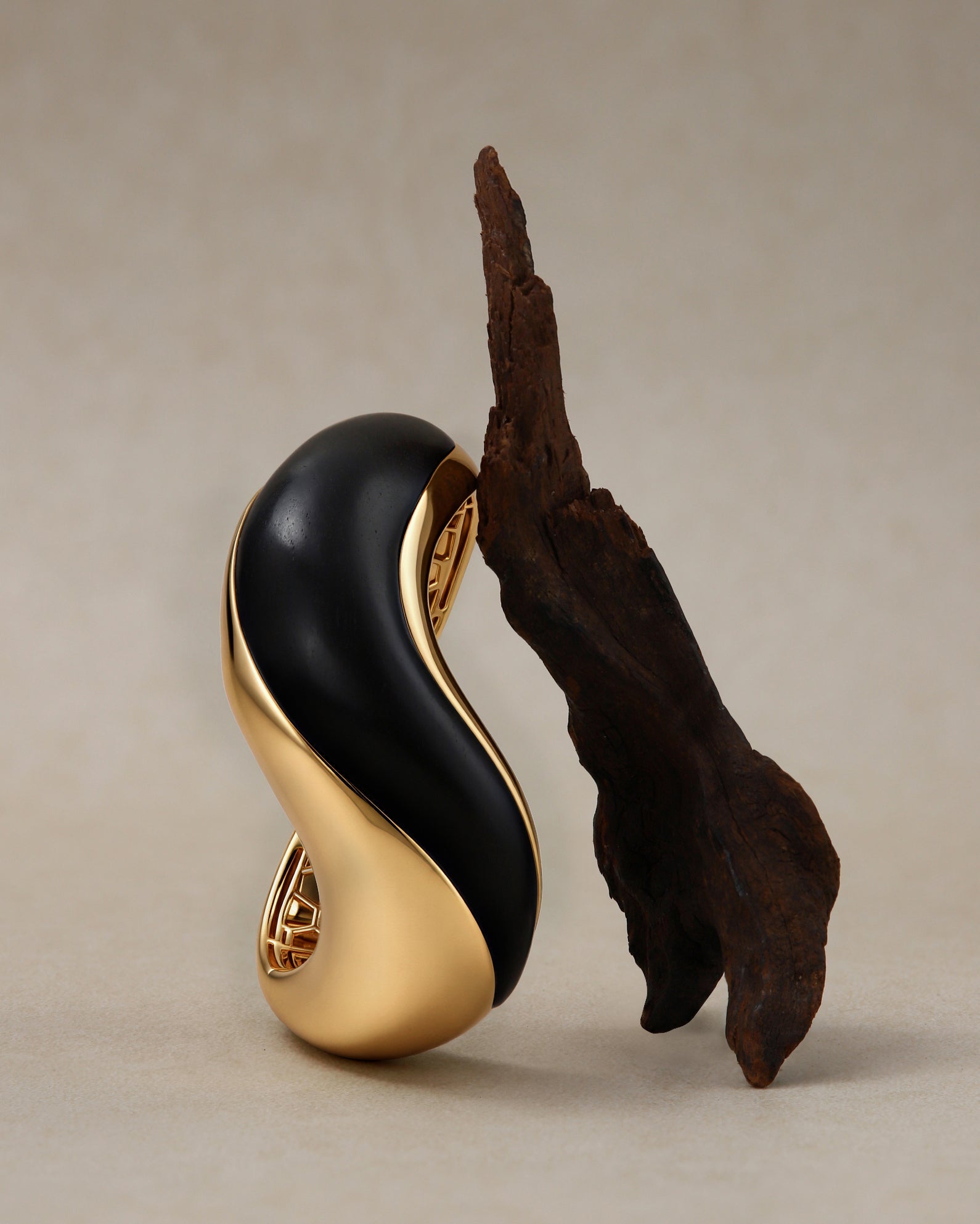 Terra Collection: Sculptural Ebony Wood Jewelry by Belvria